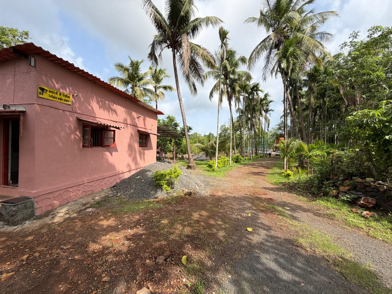 Palm-lined path