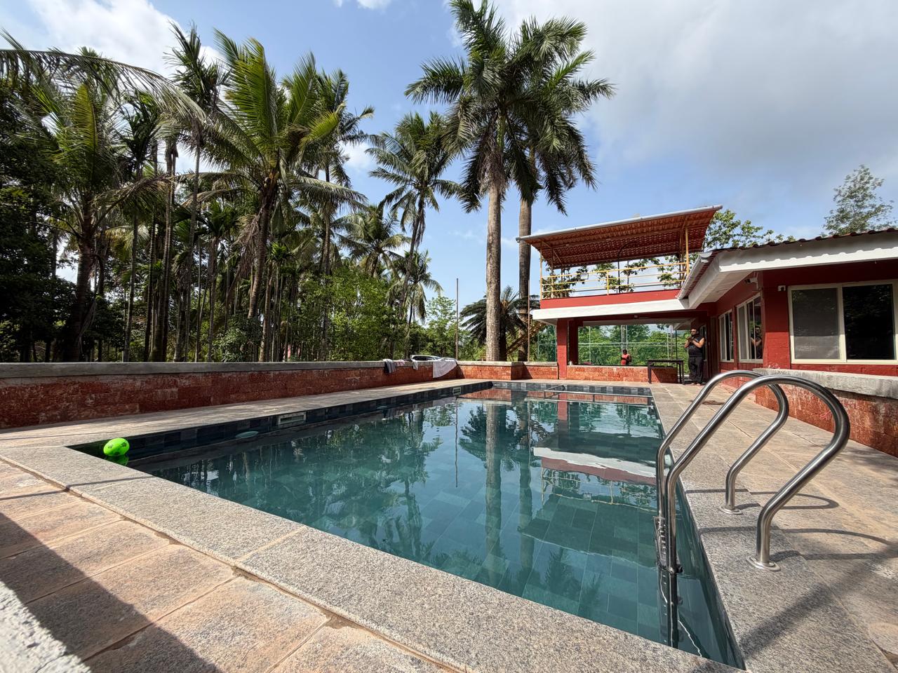 Pool & palms