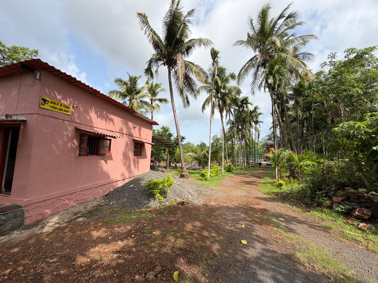 Cottage & palms